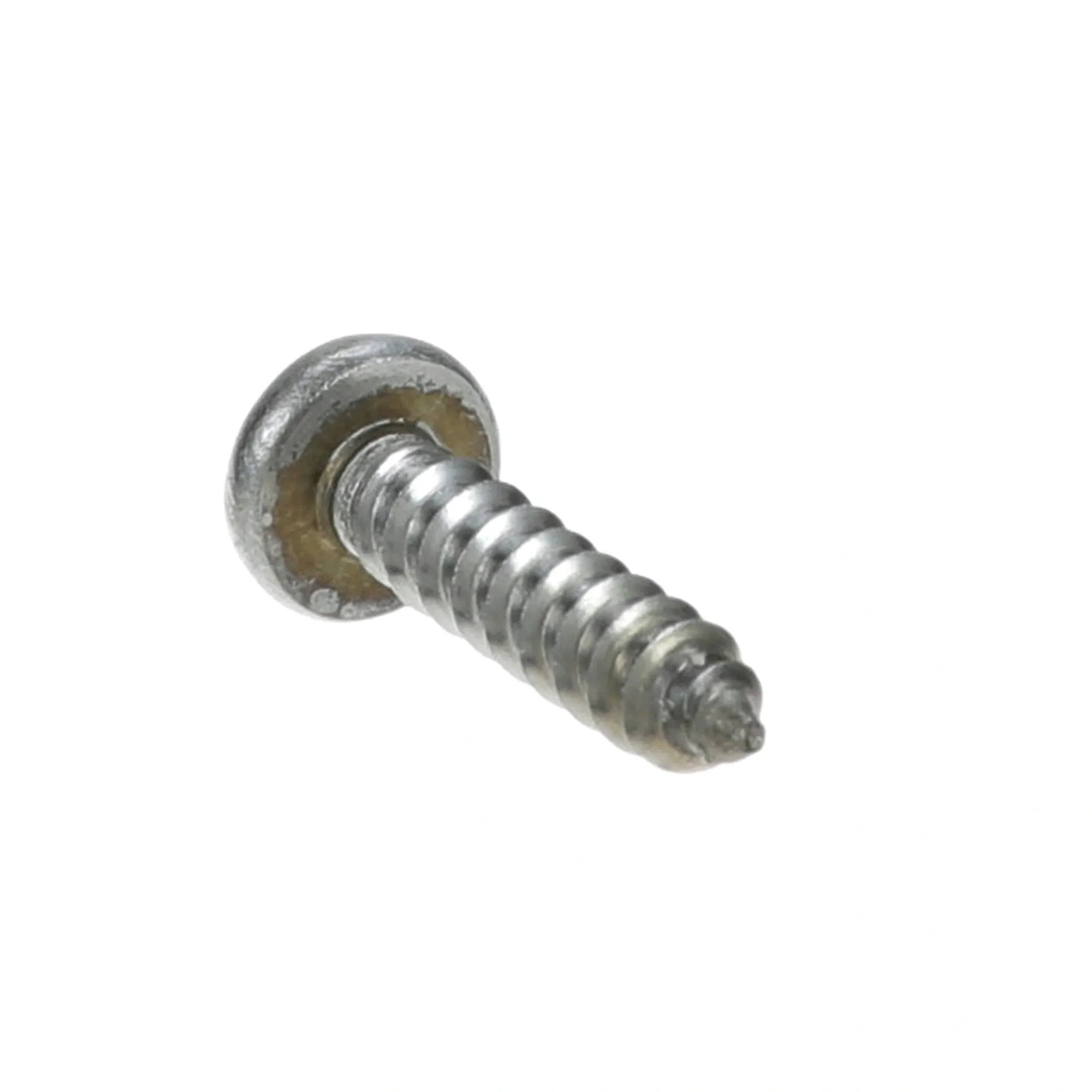 261074 B2BFSI - Premium Stainless Steel Sheet Metal Screws alternate view 4