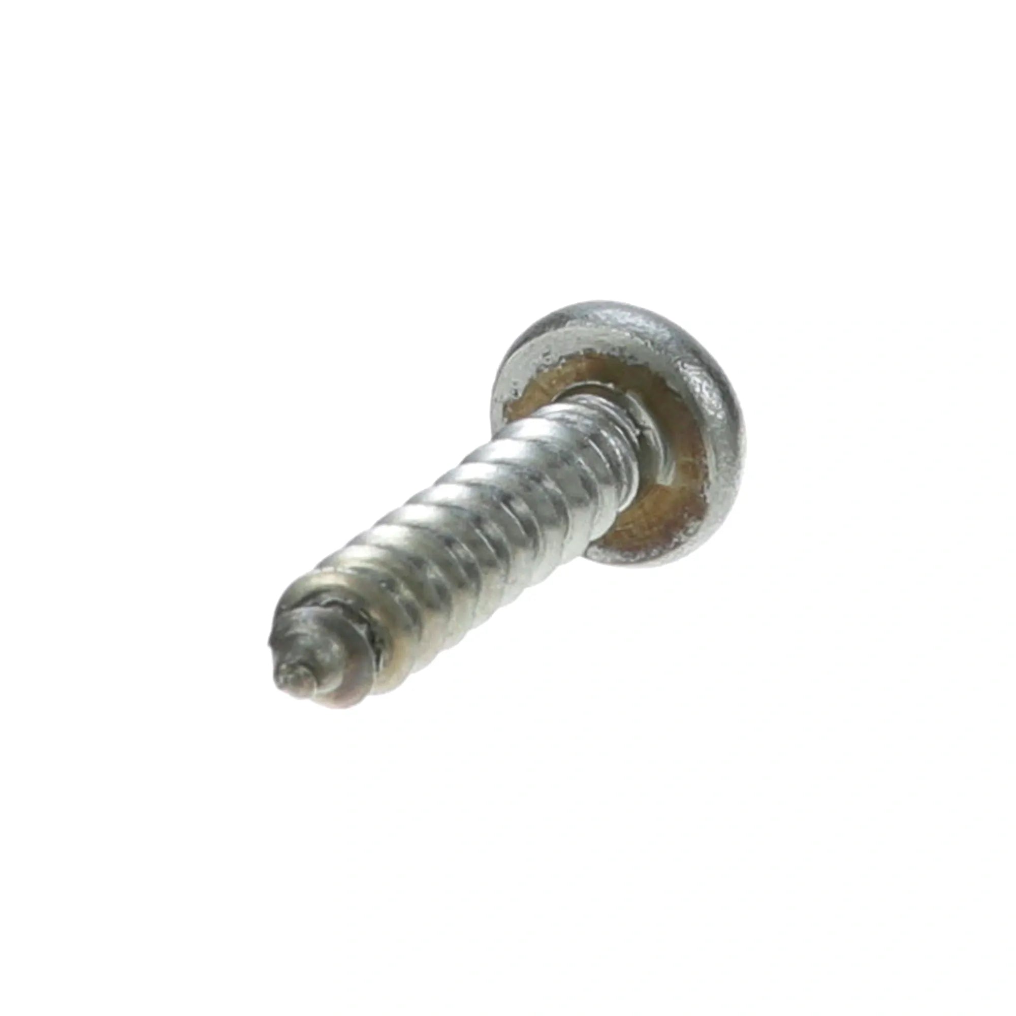 261074 B2BFSI - Premium Stainless Steel Sheet Metal Screws alternate view 5