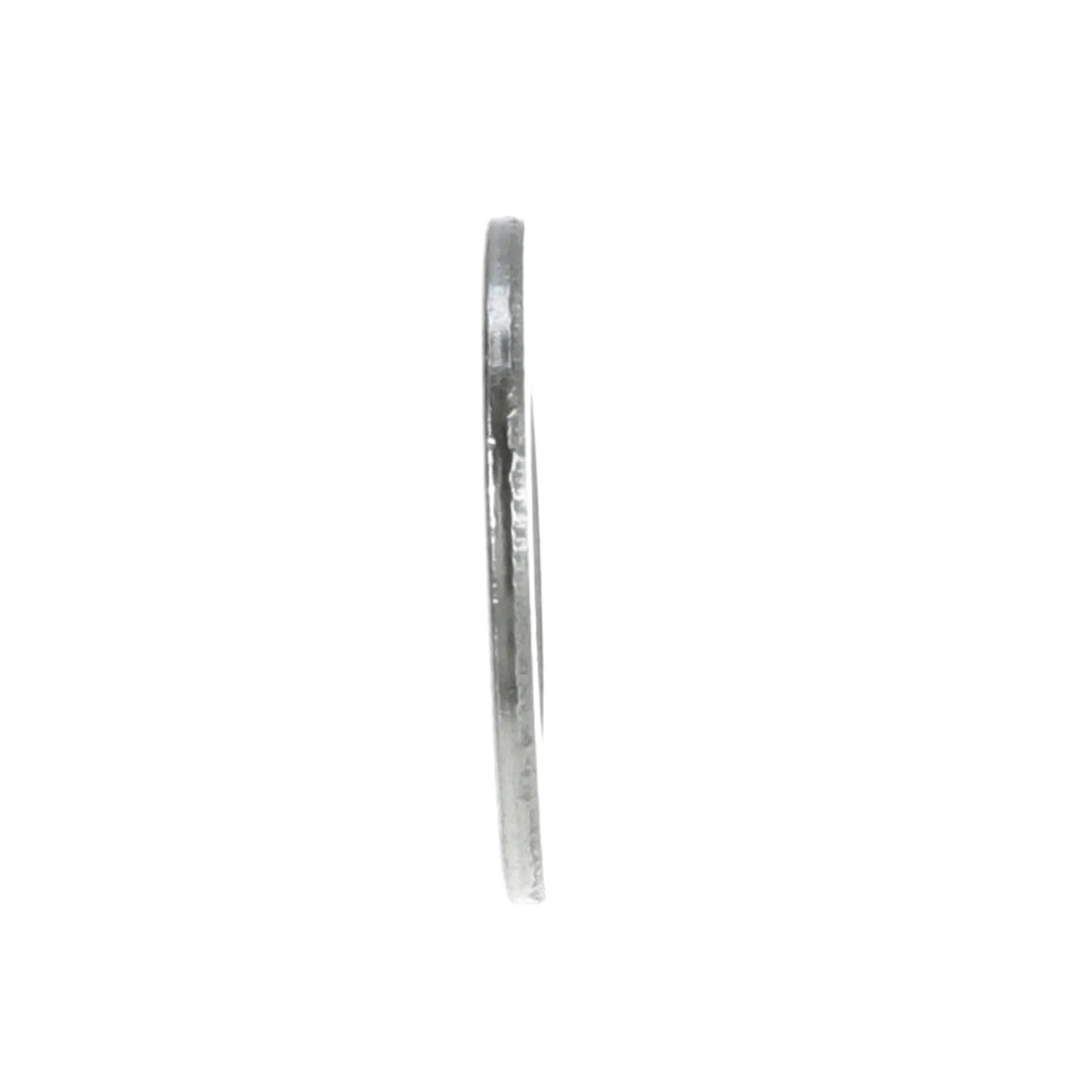 261158 B2BFSI - Stainless Steel Flat Washer 3/8