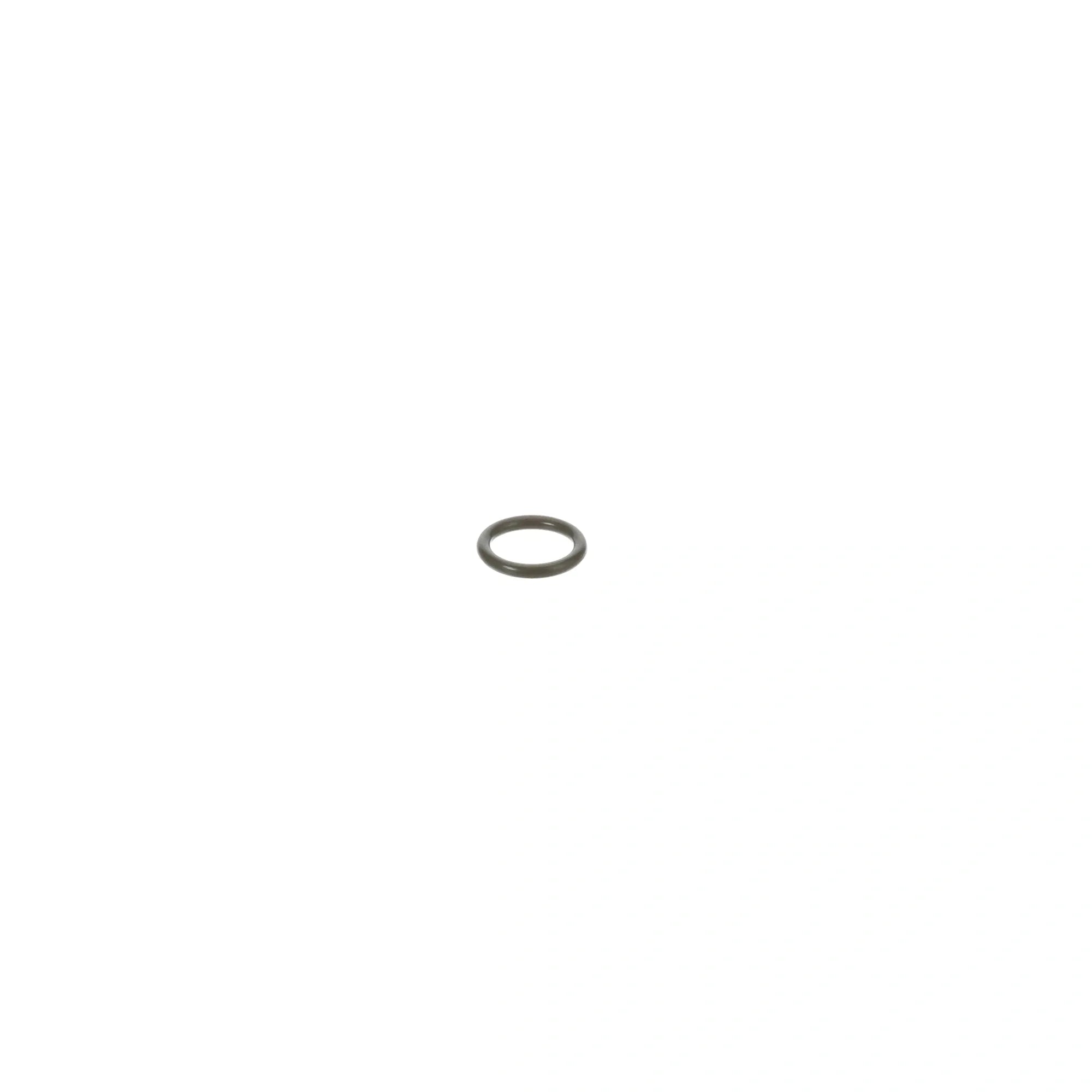 018389 Waring - O-ring for Blender & Equipment Sealing alternate view 2