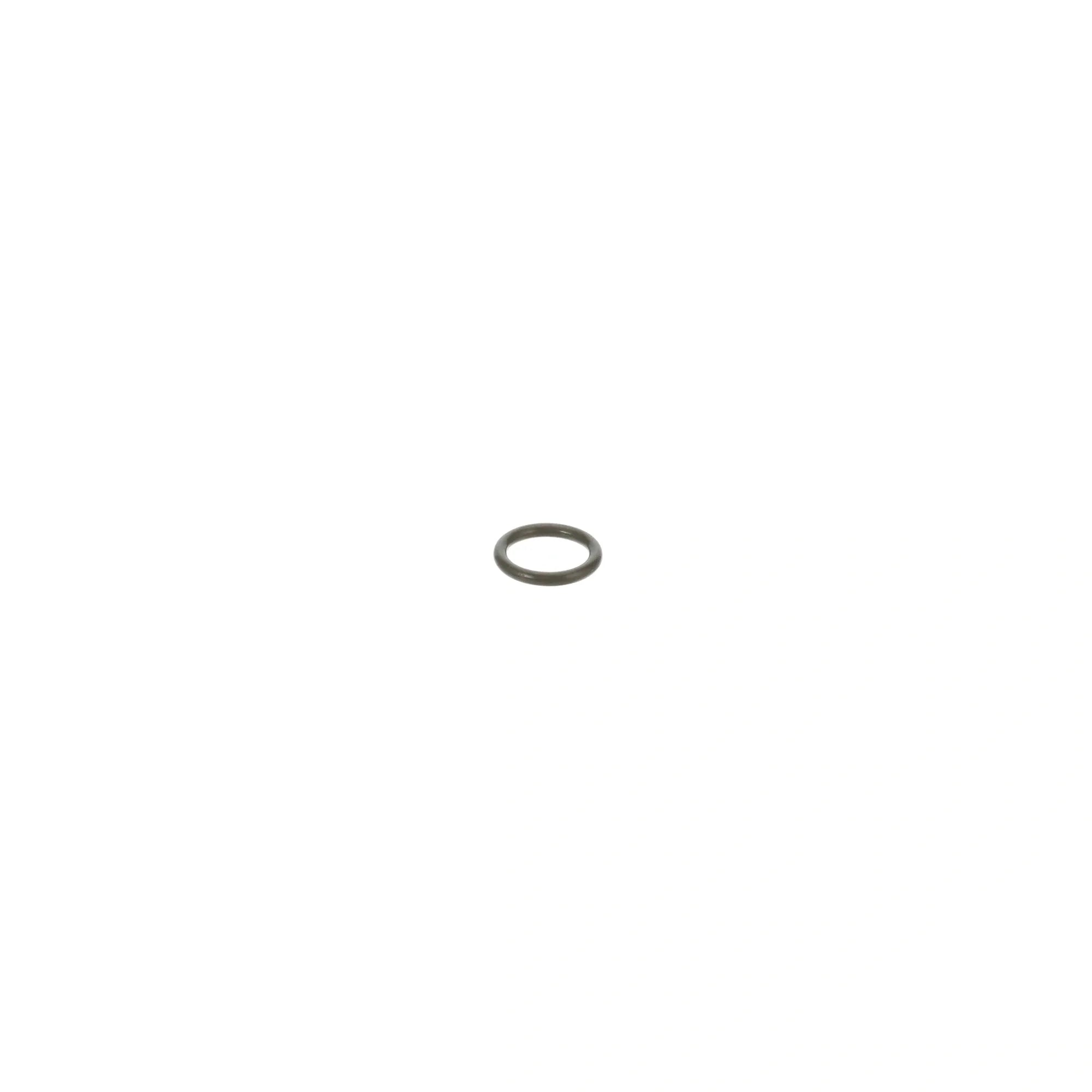 018389 Waring - O-ring for Blender & Equipment Sealing alternate view 5