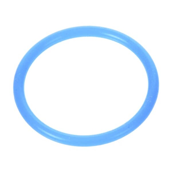 82323 Server Products - Blue Neoprene O-ring alternate view 1