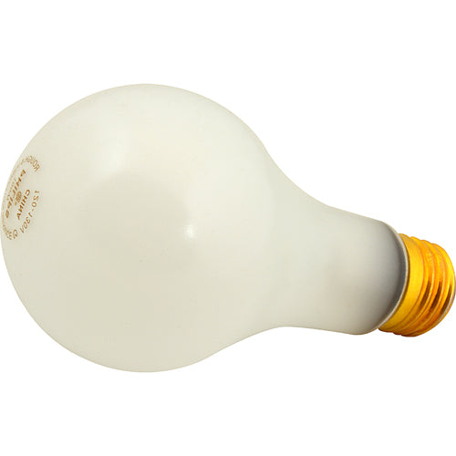 2531143 B2BFSI - Shatter Resistant 25W Bulb for Safety
