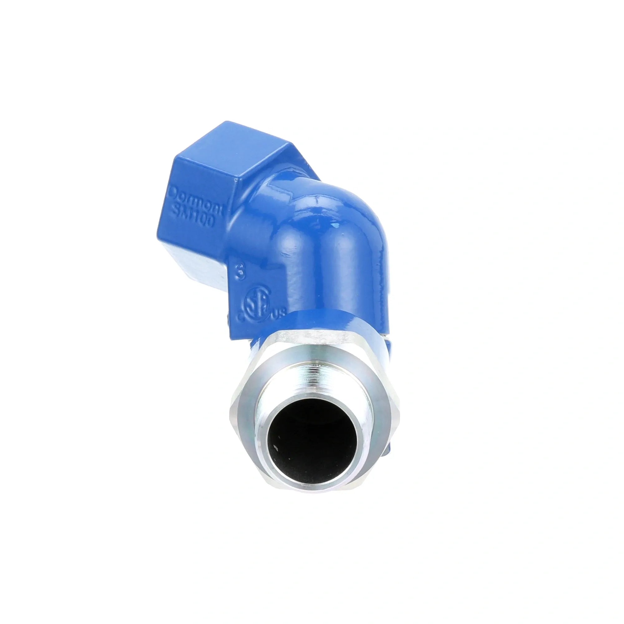 SM100 Dormont - Swivel 1