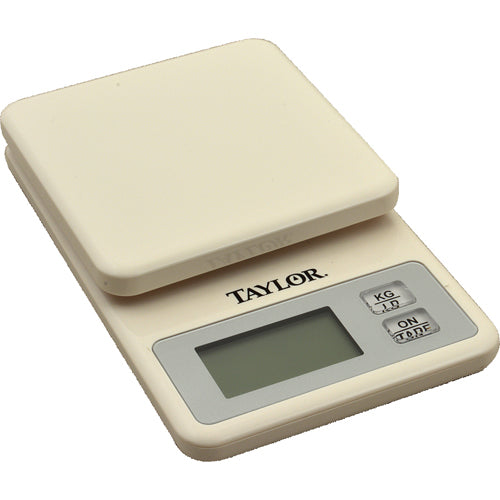 3817 Taylor Thermometer