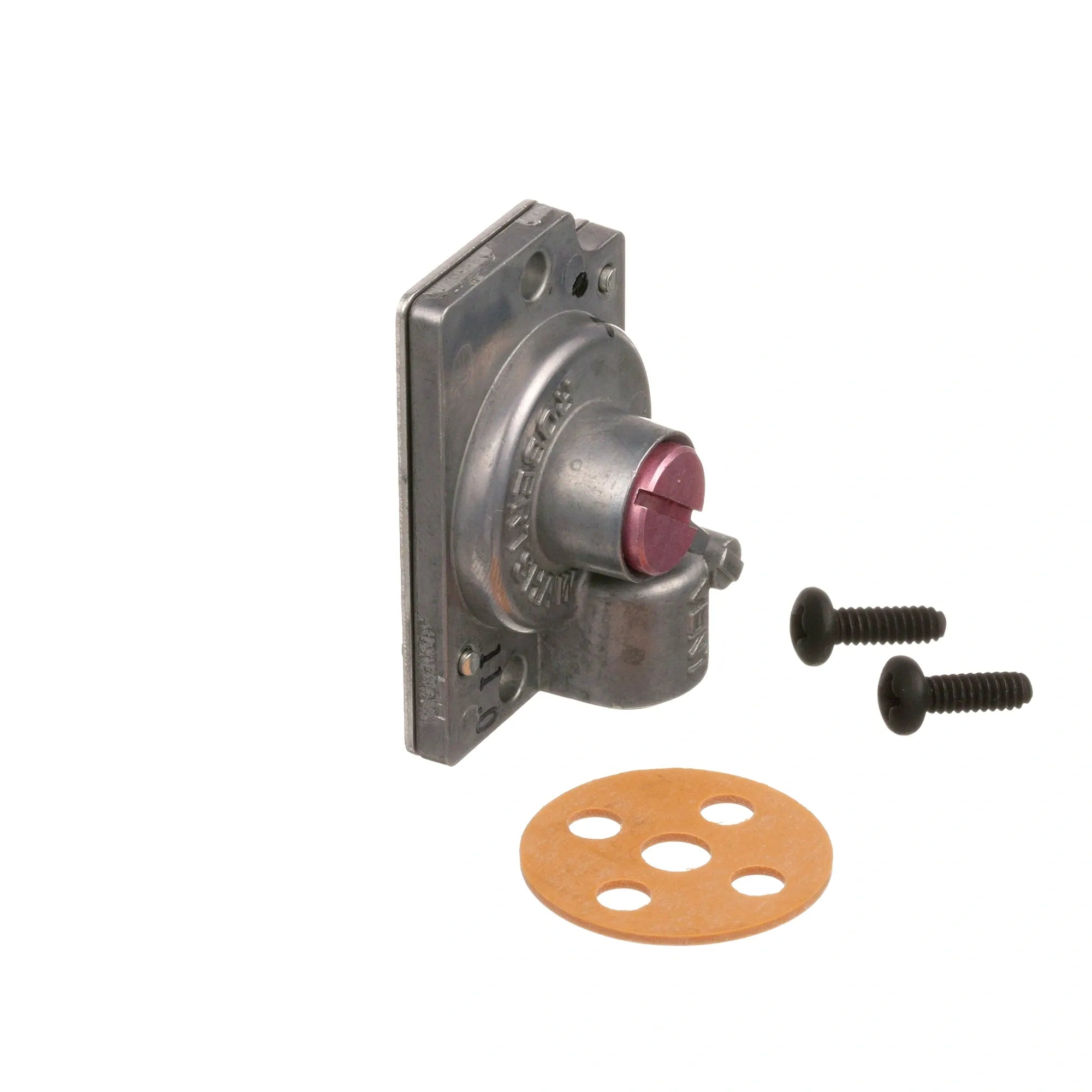 13258 Dynamic Cooking Systems - Adjustable Pressure Regulator alternate view 5