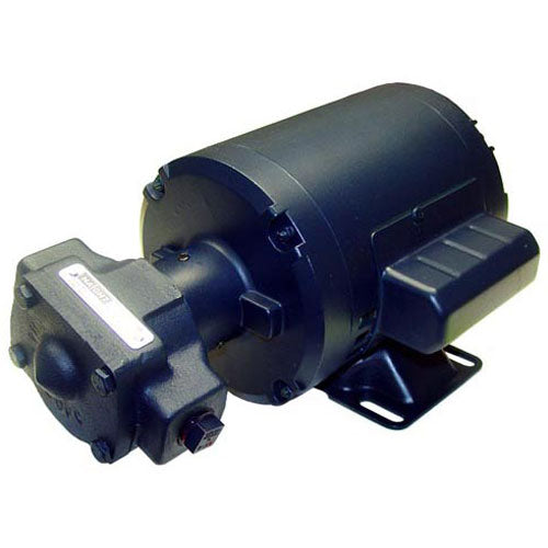 AN2310010S BKI - High-Performance Motor Pump Assembly